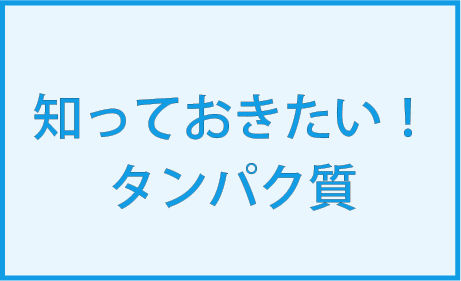 タンパク質摂取に関する研修を2026年10月に開催しました